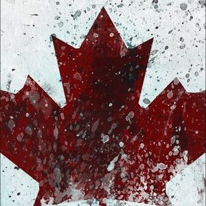 Meet your Posher, Owen